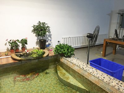 沈阳市浑南区李相村120
